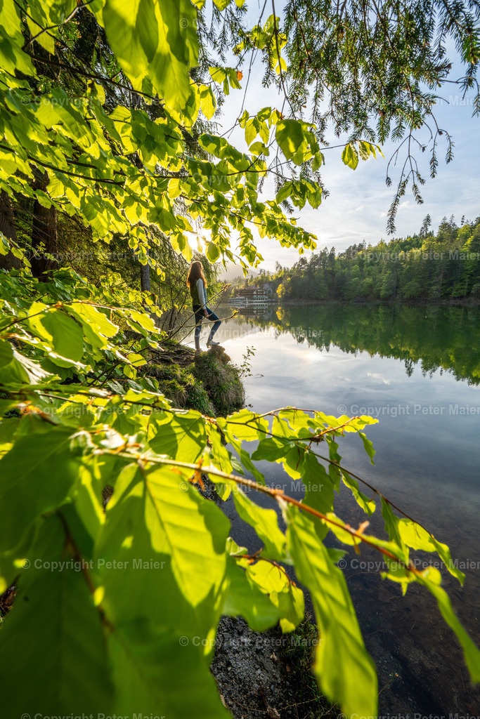 Tristachersee_Frühling-92 | piet_flosse