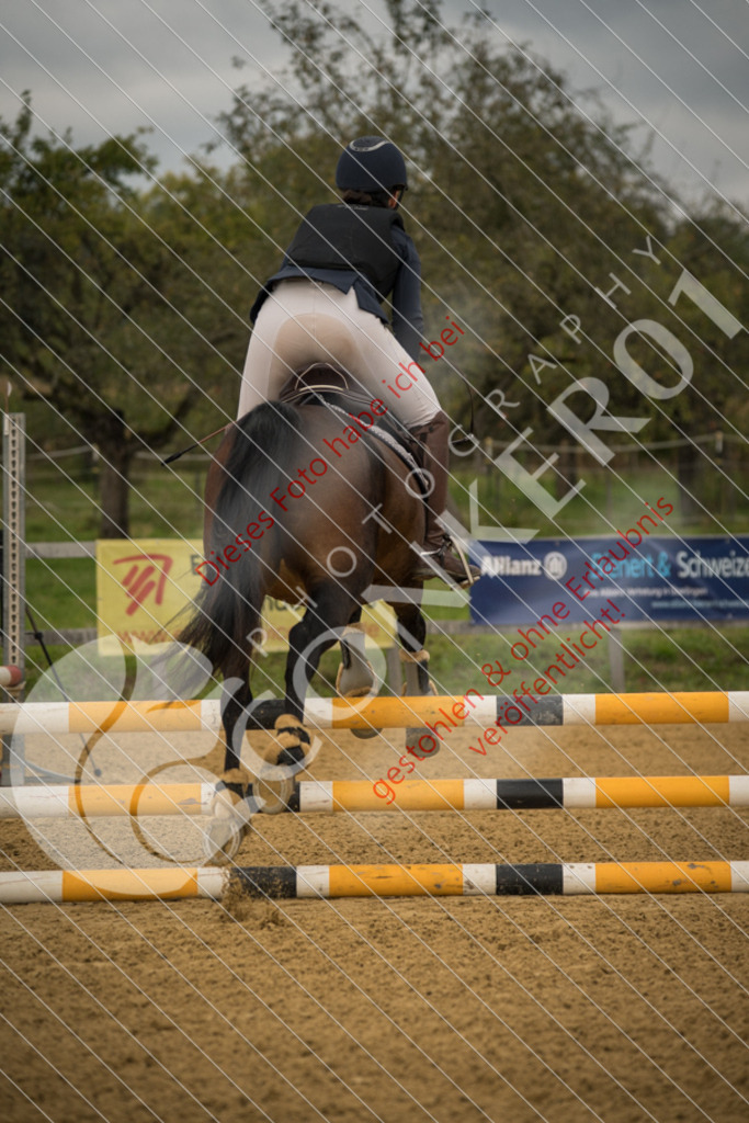 DSC_7325 | Sport-, Event- und Tierfotos in Profiqualität. Einfach auswählen, bestellen und herunterladen. Dein Moment – perfekt festgehalten.