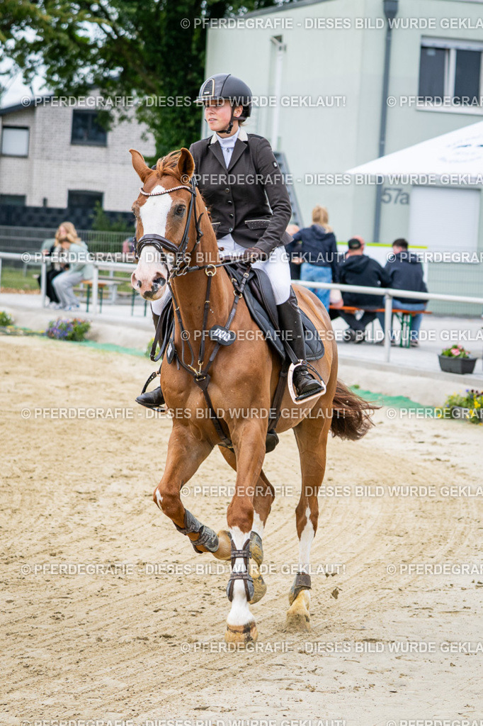 DSC04464 | Pferdegrafie