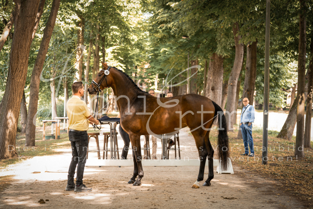 FrPfM00186 | Leoni Ertmer Photography - Realisiert mit Pictrs.com