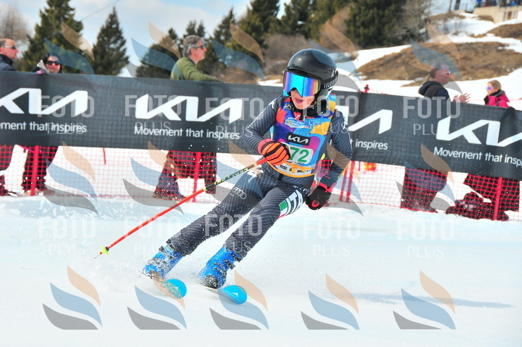 DSC_2534 | holidayphoto