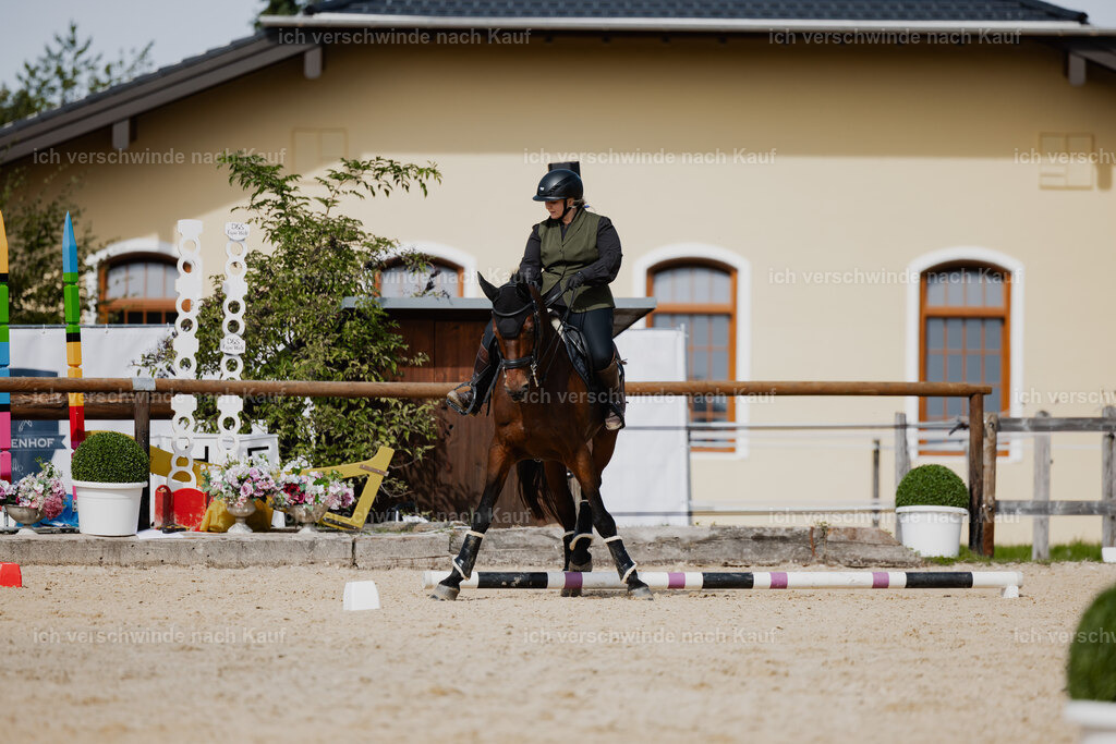 Lara_21_FHC2025-45 | working equitationturnier fotograf videograf stoibphotography marixx film working equitation deutschland reitsport turnierfotografie eventfotografie equestrian events