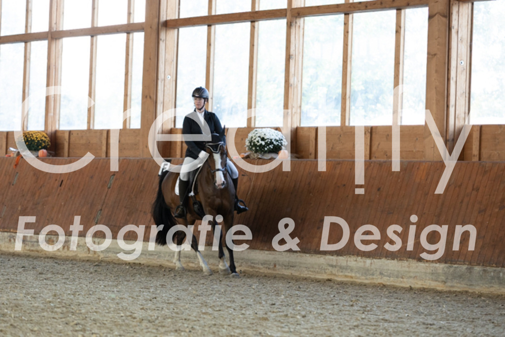 IMG_5519 | Creatify Fotografie