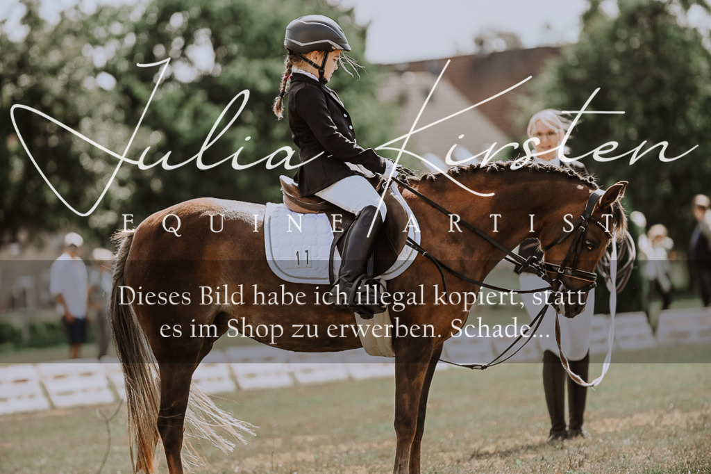 DSC_7641 | Pferde- und Turnierfotografie in Westsachsen. Pferdeportraits, Auftragszeichnungen und intuitive Kunst.