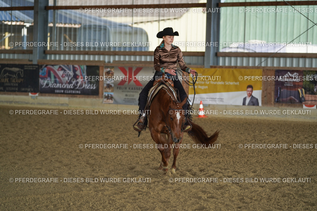 DSC08787 | Pferdegrafie