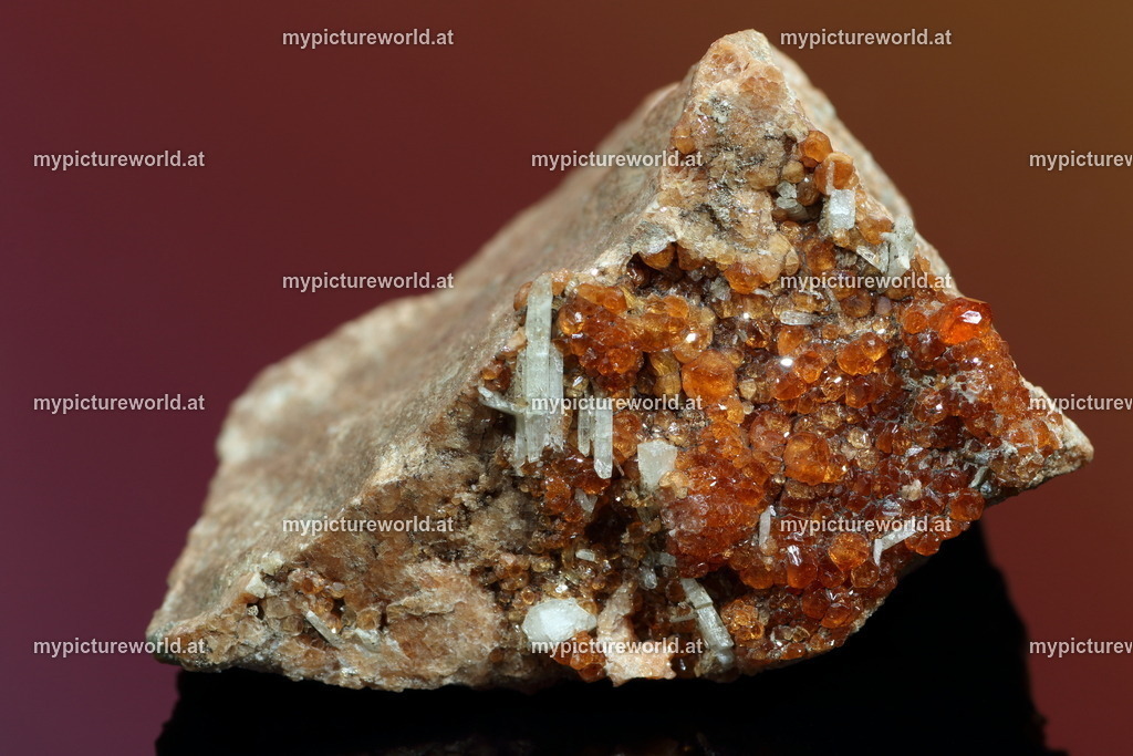 Hessonit-001 | Das Bilderarchiv über Tiere, Planzen und Landschaften. In der Bilddatenbank finden Sie ein große Auswahl an hochwertigen Bilder für Ihre Werbung - Realized with Pictrs.com