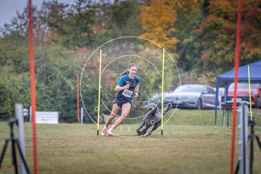 Pfotenfotografie_DV3A1035 | Hundefotografie, Tierfotograf, Pfotenfotografie, Fotoshooting Hund, Hunde Portrait, Hundesport, Hundeportraits, Heideshooting, Hunde, Sportfotograf, Hundefotograf, Turnierhundsport, THS,  - Realisiert mit Pictrs.com