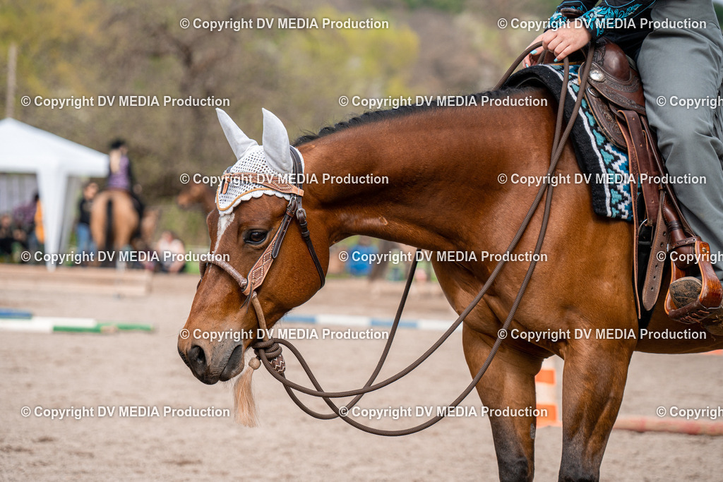 BAL02666 | dv-media-shop - Realisiert mit Pictrs.com