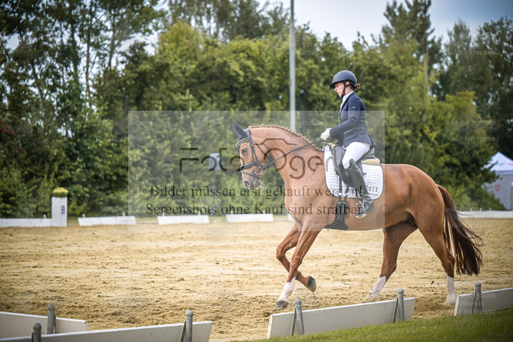 DOS_9685 | Entdecke hochwertige Reitturnierfotos von Foto Oger. Professionell, emotional und authentisch – jetzt Lieblingsmomente im Shop bestellen. - Realisiert mit Pictrs.com