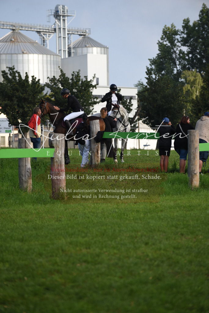 DSC_8554 | Pferde- und Turnierfotografie in Westsachsen. Pferdeportraits, Auftragszeichnungen und intuitive Kunst.