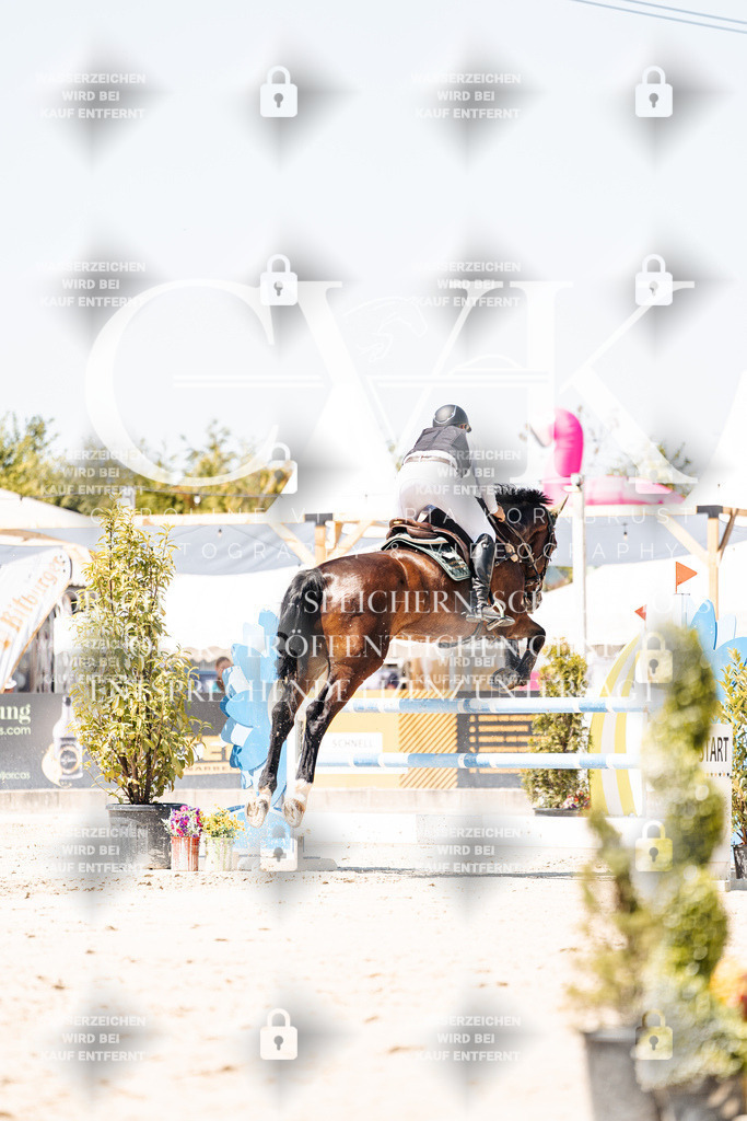 CK900030 | Turnierfotografie Pferdefotografie Trier Rheinland-Pfalz Pferdesport Reitsport Tierfotografie Sportfotografie Pferdevideo Pferdevideografie Equestrianvideography equestrianphotography  - Realisiert mit Pictrs.com