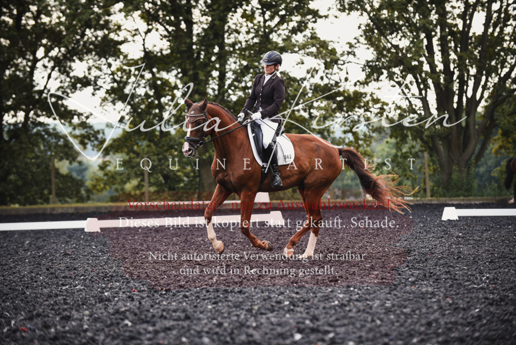 DSC_4006 | Pferde- und Turnierfotografie in Westsachsen. Pferdeportraits, Auftragszeichnungen und intuitive Kunst.