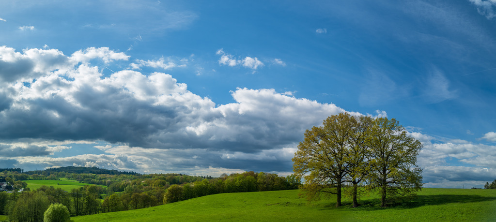 Baumgruppe Vettelschoss | Dreiergruppe in der Nähe von Vettelschoss  - Realisiert mit Pictrs.com