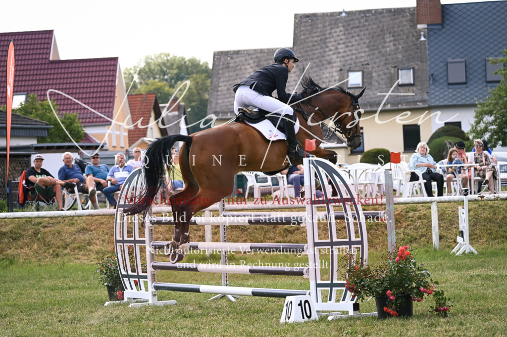 DSC_1014 | Pferde- und Turnierfotografie in Westsachsen. Pferdeportraits, Auftragszeichnungen und intuitive Kunst.