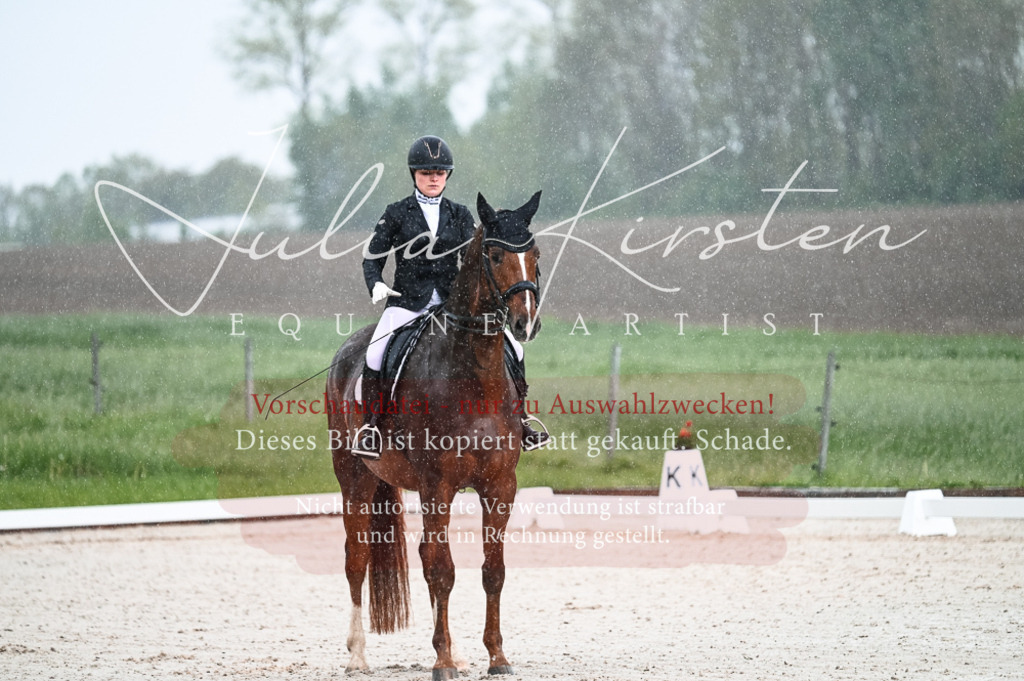 DSC_4085 | Pferde- und Turnierfotografie in Westsachsen. Pferdeportraits, Auftragszeichnungen und intuitive Kunst.