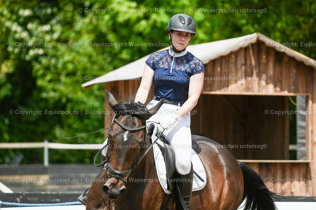 20230715_05_Dressurprüfung Kl.A++_0390 | equistock