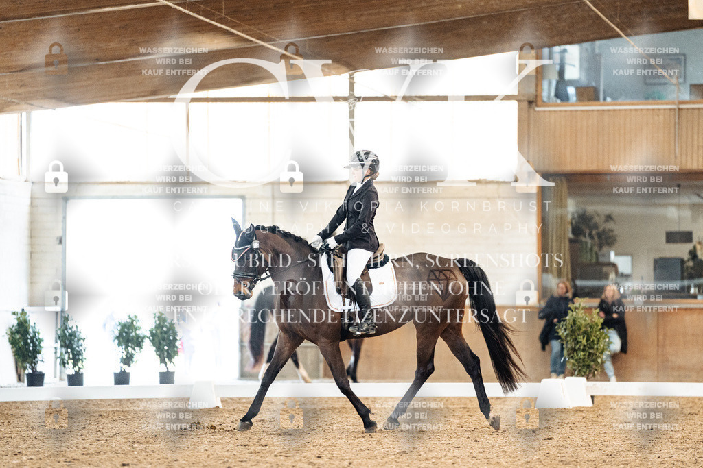 CK908302 | Turnierfotografie Pferdefotografie Trier Rheinland-Pfalz Pferdesport Reitsport Tierfotografie Sportfotografie Pferdevideo Pferdevideografie Equestrianvideography equestrianphotography  - Realisiert mit Pictrs.com