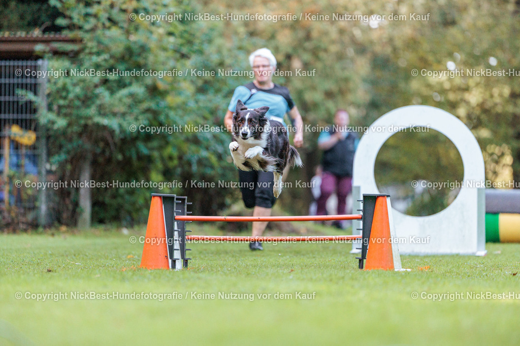 THS-HSV-Blumenthal-2026-Nickbest-Hundefotografie-1236 | Dein Hund! Dein Moment! Deine Erinnerungen! Hundefotografie in Bremen Blumenthal. Ich fange die besonderen Momente deines Vierbeiners ein – ob Indoor mit Blitzanlage oder in der freien Natur. Sicher dir dein Moment und dein Termin für eure Erinnerungen.