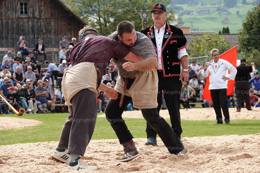 DSC08495 | Schwingen - Realisiert mit Pictrs.com