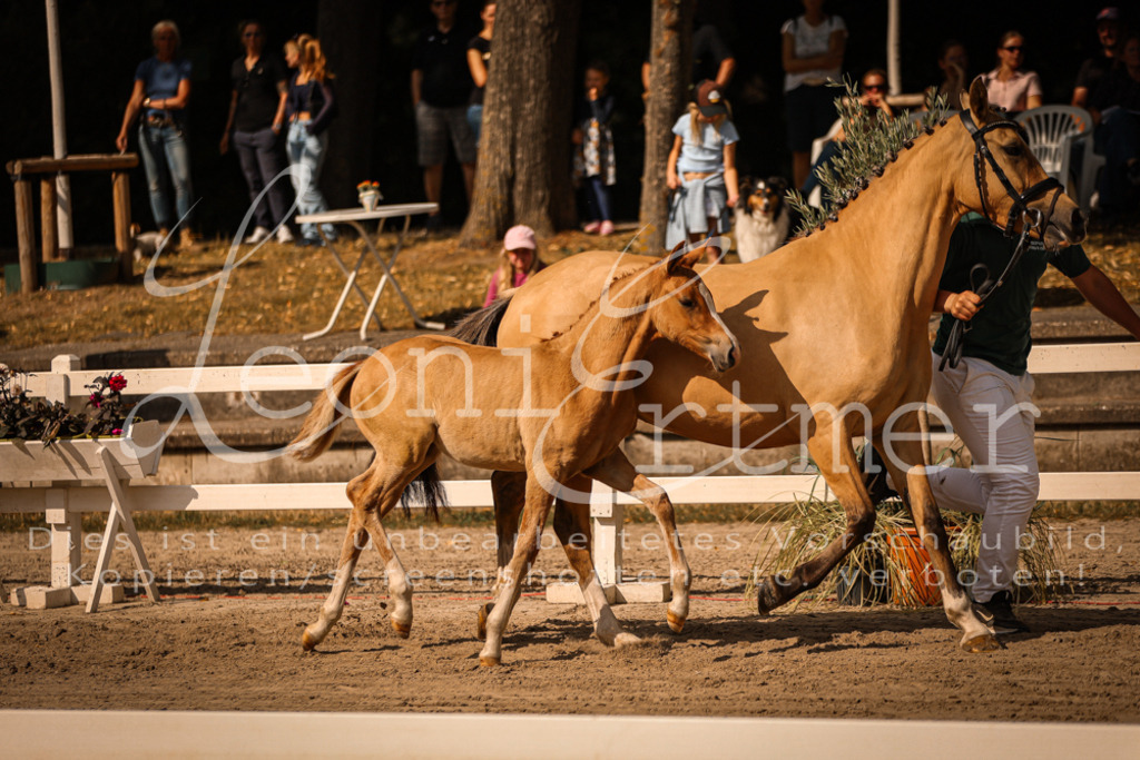 10.DoRP00109 | Leoni Ertmer Photography - Realisiert mit Pictrs.com