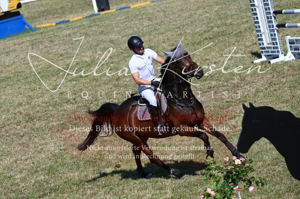 DSC_1942 | Pferde- und Turnierfotografie in Westsachsen. Pferdeportraits, Auftragszeichnungen und intuitive Kunst.