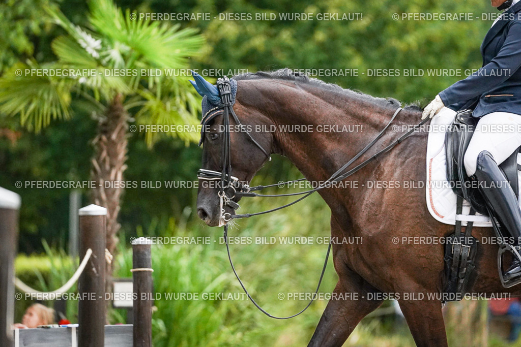 DSC09616 | Pferdegrafie