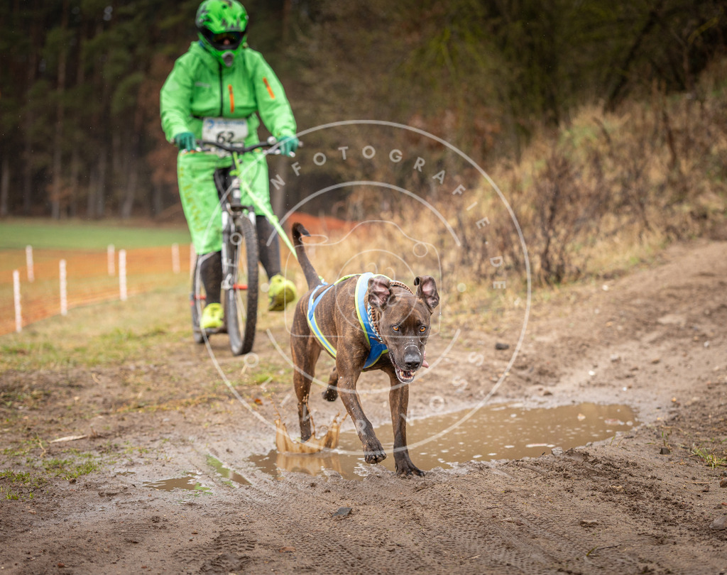 DV3A9535 | Hundefotografie, Tierfotograf, Pfotenfotografie, Fotoshooting Hund, Hunde Portrait, Hundesport, Hundeportraits, Heideshooting, Hunde, Sportfotograf, Hundefotograf, Turnierhundsport, THS,  - Realisiert mit Pictrs.com