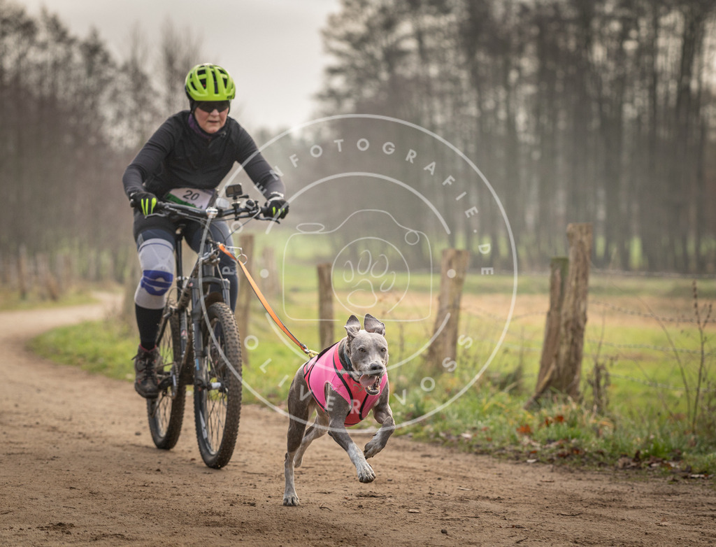 Pfotenfotografie_DV3A2058 | Hundefotografie, Tierfotograf, Pfotenfotografie, Fotoshooting Hund, Hunde Portrait, Hundesport, Hundeportraits, Heideshooting, Hunde, Sportfotograf, Hundefotograf, Turnierhundsport, THS,  - Realisiert mit Pictrs.com