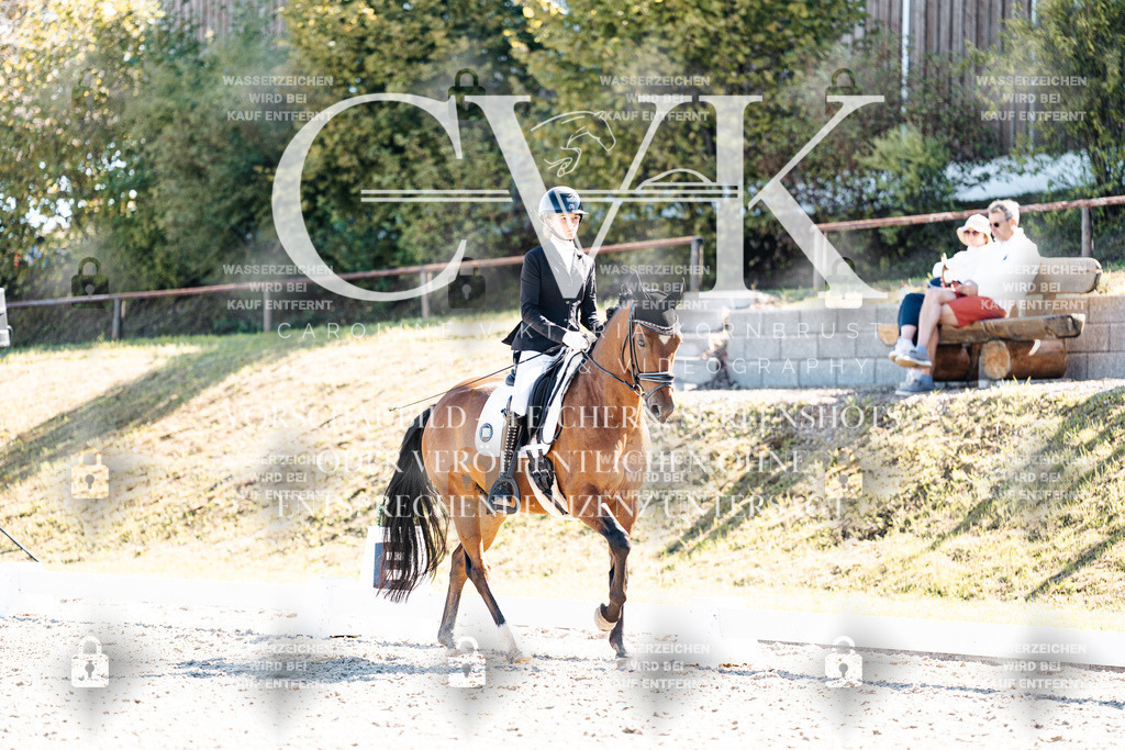 CK909273 | Turnierfotografie Pferdefotografie Trier Rheinland-Pfalz Pferdesport Reitsport Tierfotografie Sportfotografie Pferdevideo Pferdevideografie Equestrianvideography equestrianphotography  - Realisiert mit Pictrs.com