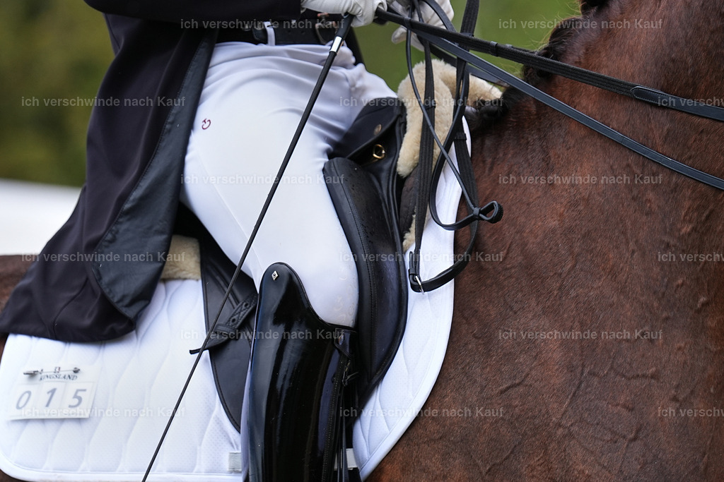 10-015-ST.GEORG SPECIAL -Marixx-3365 | working equitationturnier fotograf videograf stoibphotography marixx film working equitation deutschland reitsport turnierfotografie eventfotografie equestrian events