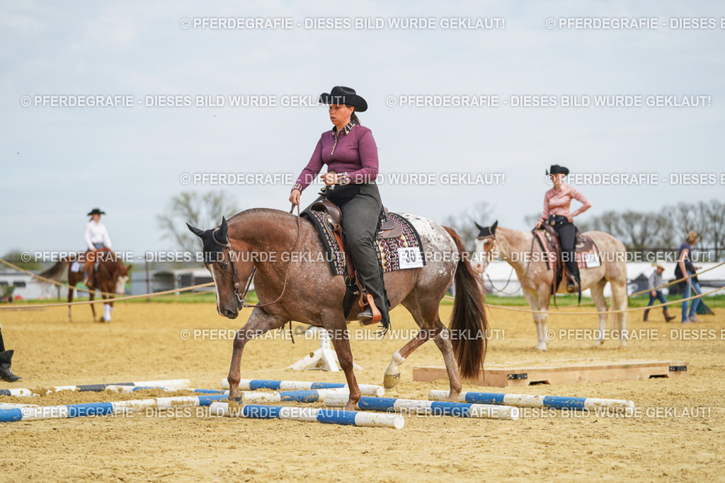 DSC03535 | Pferdegrafie