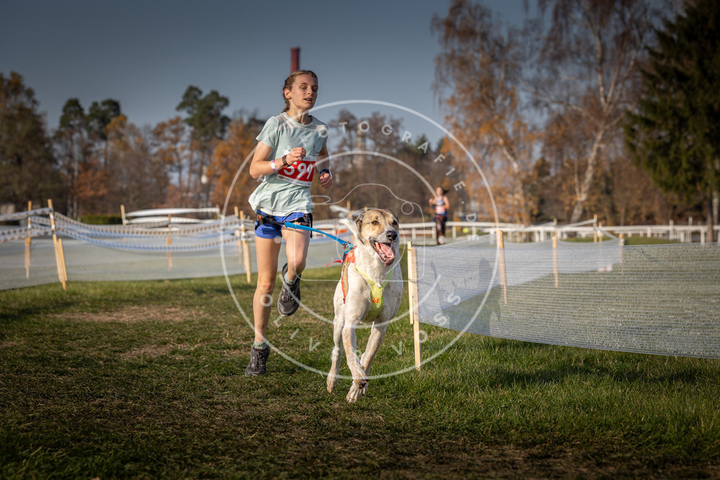CaniXpix_0L8A0039 | Hundefotografie, Tierfotograf, Pfotenfotografie, Fotoshooting Hund, Hunde Portrait, Hundesport, Hundeportraits, Heideshooting, Hunde, Sportfotograf, Hundefotograf, Turnierhundsport, THS,  - Realisiert mit Pictrs.com