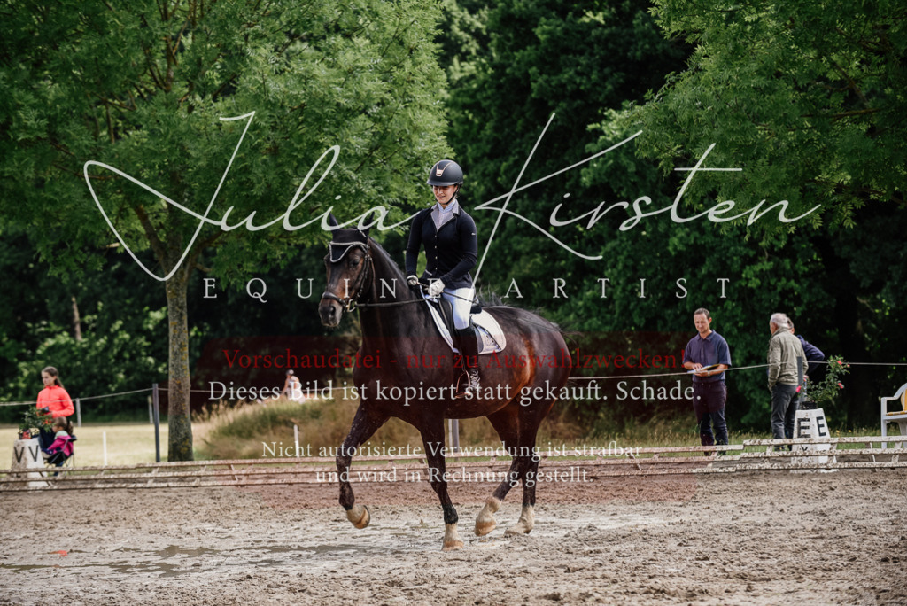 DSC_0618 | Pferde- und Turnierfotografie in Westsachsen. Pferdeportraits, Auftragszeichnungen und intuitive Kunst.