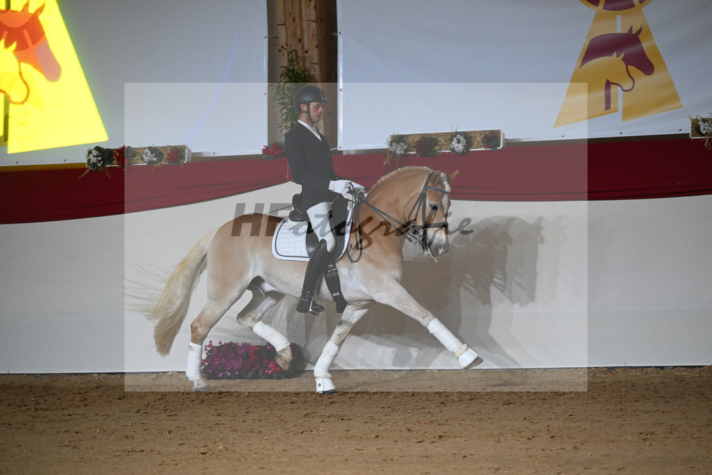 Amiro_1234363 | hf-fotografie - Realisiert mit Pictrs.com