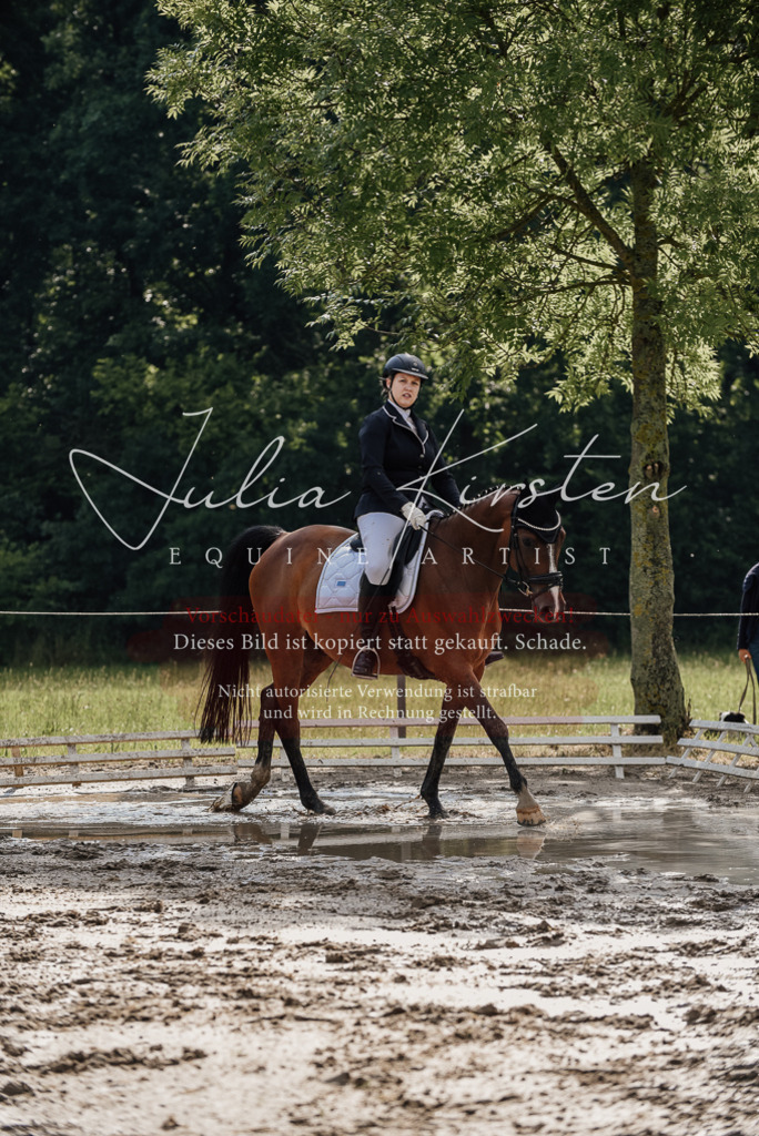 DSC_8988 | Pferde- und Turnierfotografie in Westsachsen. Pferdeportraits, Auftragszeichnungen und intuitive Kunst.