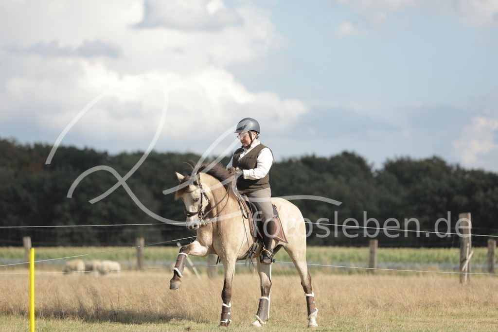 27-CSP_9708 | fotosleben - Realized with Pictrs.com