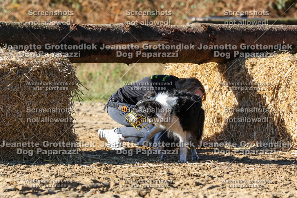 Dog Paparazzi - Strongdog 10-25-2257 | Dog Paparazzi Jeanette Grottendiek Fotografie & Videografie - Realisiert mit Pictrs.com