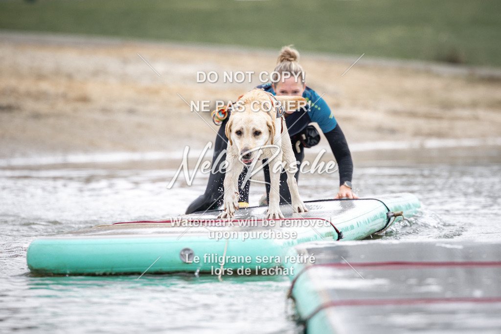 nelerasche_Hulsbeek_Sa1100-1130_448 | nelerasche