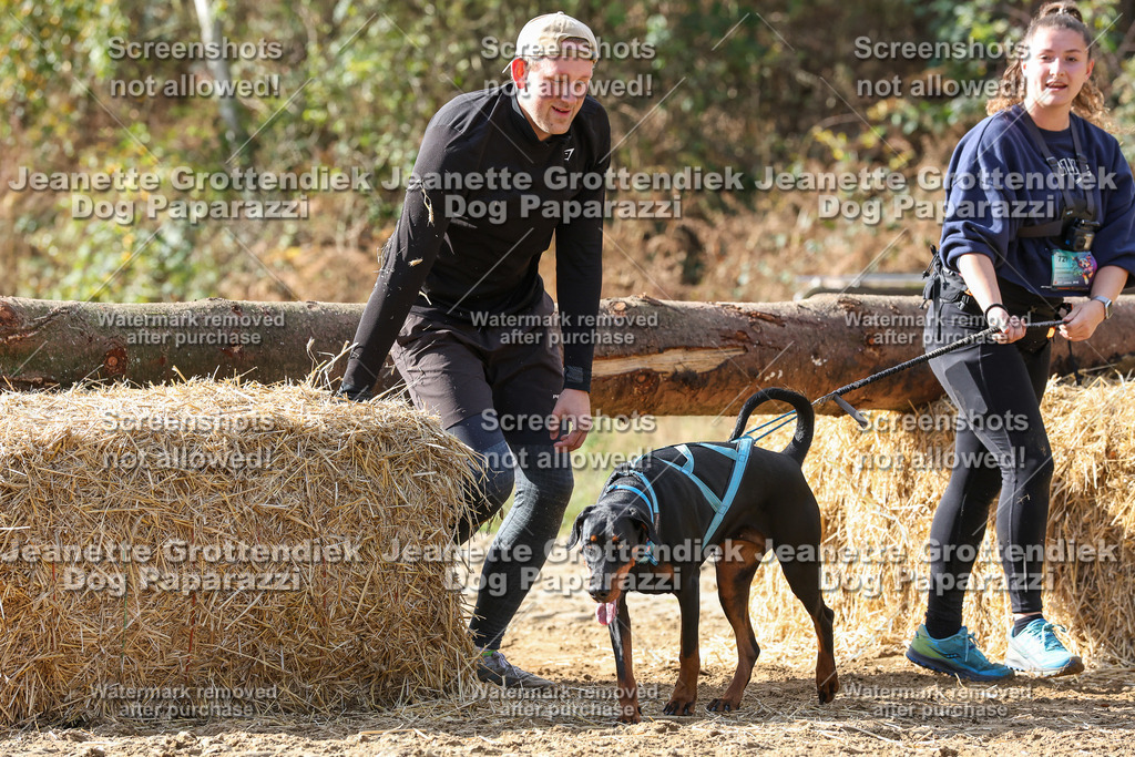 Dog Paparazzi - Strongdog 10-25-5238 | Dog Paparazzi Jeanette Grottendiek Fotografie & Videografie - Realisiert mit Pictrs.com