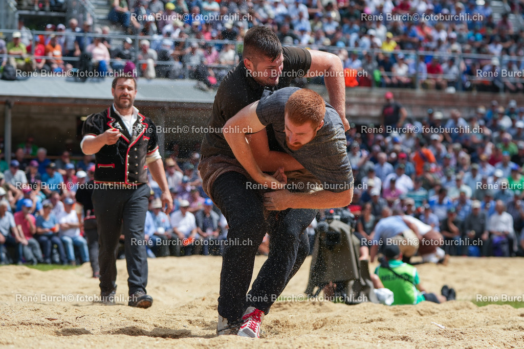 RB_02822 | René Burch leidenschaftlicher Fotograf aus Kerns in Obwalden.  Hier finden sie Sport, Landschaft und Natur Fotografie.
 - Realisiert mit Pictrs.com