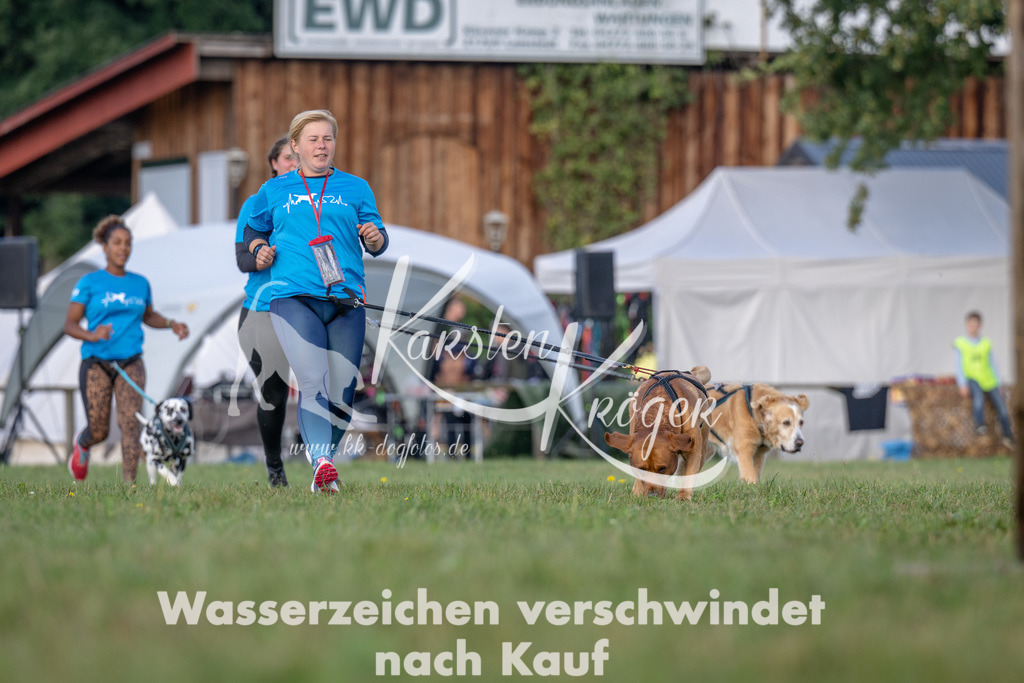 1013_ZZ91816 | kk-dogfotos