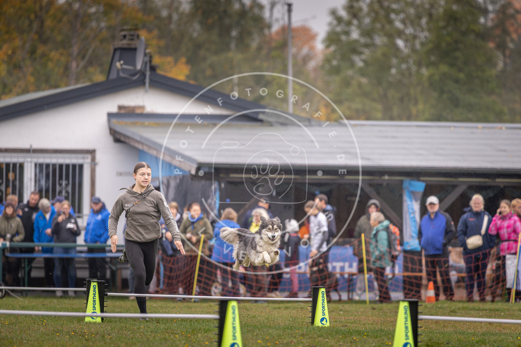 Pfotenfotografie_DV3A0636 | Hundefotografie, Tierfotograf, Pfotenfotografie, Fotoshooting Hund, Hunde Portrait, Hundesport, Hundeportraits, Heideshooting, Hunde, Sportfotograf, Hundefotograf, Turnierhundsport, THS,  - Realisiert mit Pictrs.com