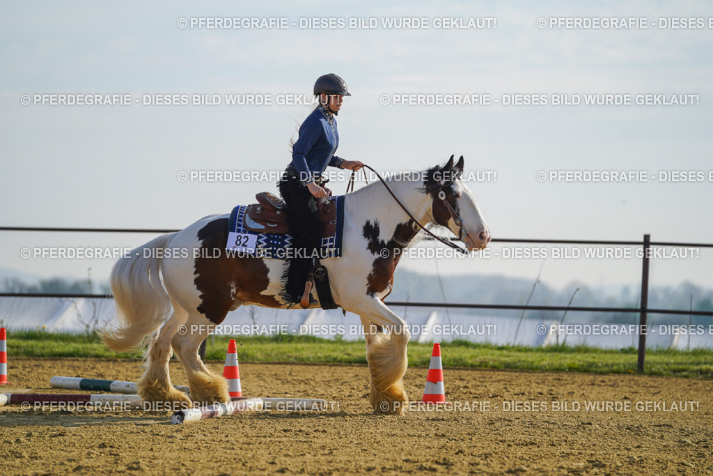 DSC00903 | Pferdegrafie