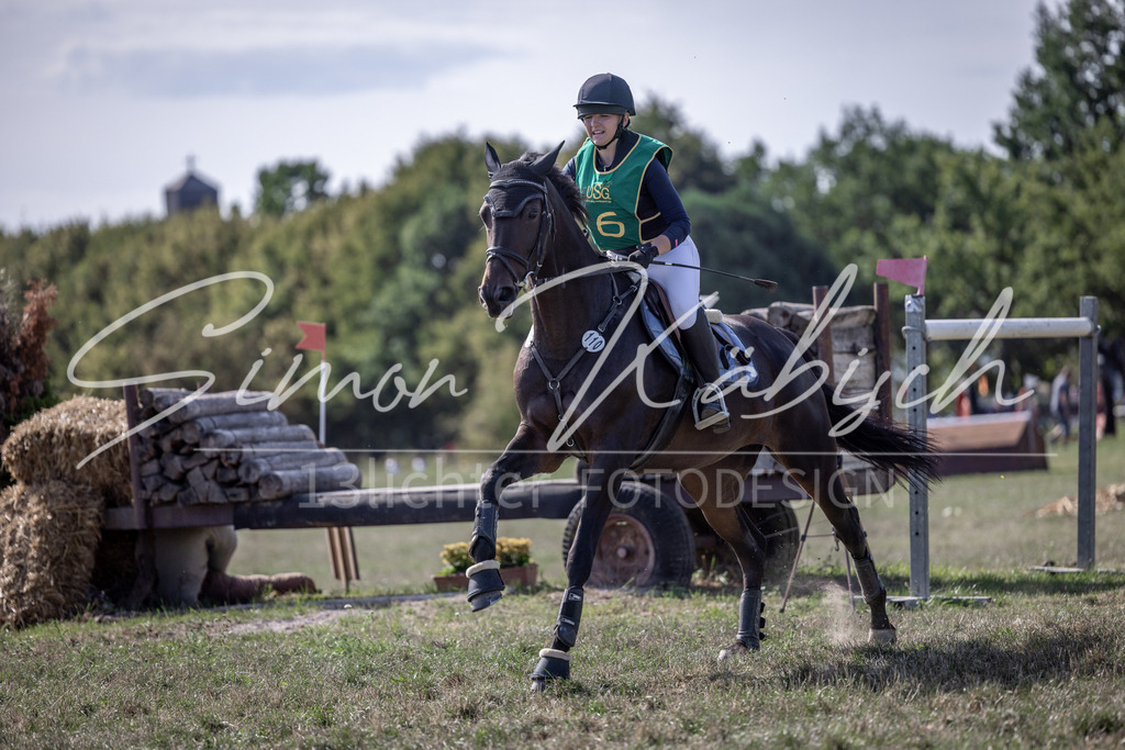20260906-_3LI6308 | Tierfotografie Pferde, Hunde, Katzen, Haustiere.
Turnierfotografie Reitturniere, Reiten, Springreiten, Dressur in Hanau, dem Main-Kinzig-Kreis und dem Rhein-Main- Gebiet um Frankfurt