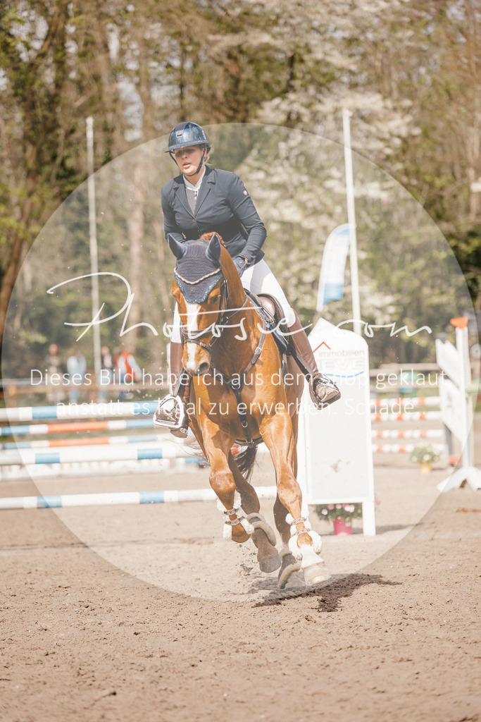 3I6A4301 | Stimmungsvolle Portraits und Reitsportfotografie im Ruhrgebiet und im Münsterland.

Pferdefotografie, Hundefotografie, Tierfotografie, Reportagen, Portraits von Tier und Mensch, Turnierfotografie in Bochum, Recklinghausen, Marl, Haltern am See, Dülmen.. - Realisiert mit Pictrs.com