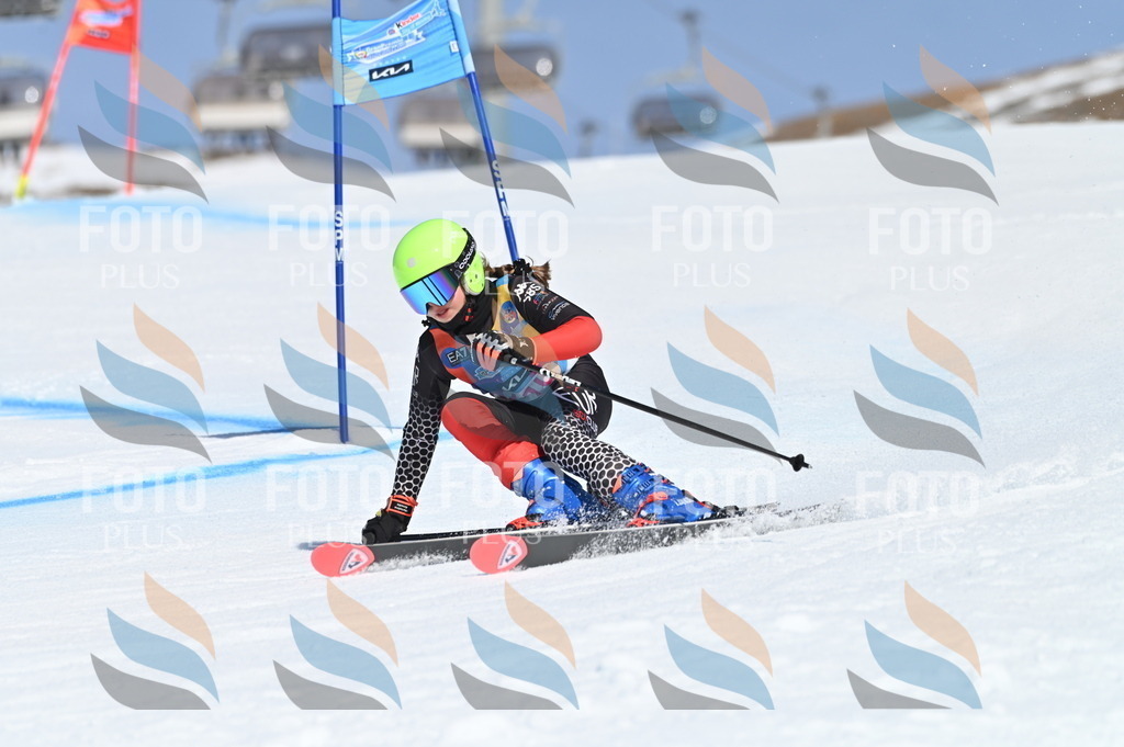 BGV_9648 | holidayphoto