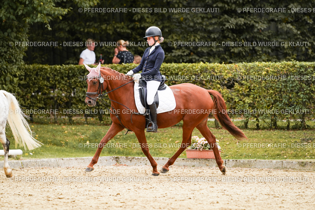 DSC09669 | Pferdegrafie