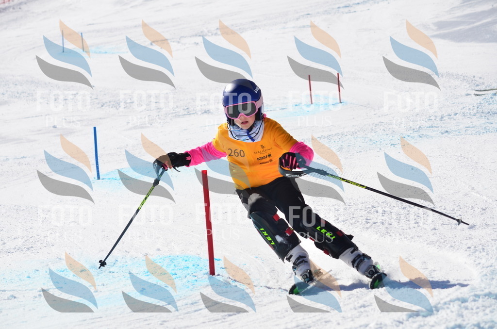 C8509 | holidayphoto