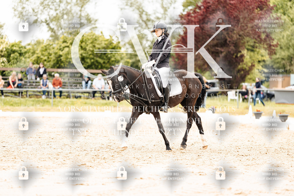 CK903627 | Turnierfotografie Pferdefotografie Trier Rheinland-Pfalz Pferdesport Reitsport Tierfotografie Sportfotografie Pferdevideo Pferdevideografie Equestrianvideography equestrianphotography  - Realisiert mit Pictrs.com