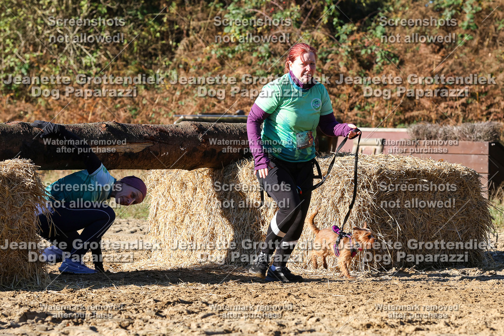 Dog Paparazzi - Strongdog 10-25-1818 | Dog Paparazzi Jeanette Grottendiek Fotografie & Videografie - Realisiert mit Pictrs.com